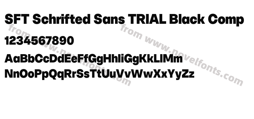 SFT Schrifted Sans TRIAL Black CompPreview