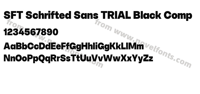SFT Schrifted Sans TRIAL Black CompPreview