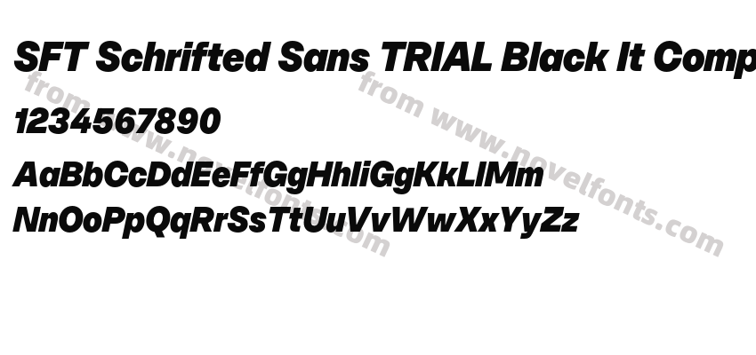 SFT Schrifted Sans TRIAL Black It CompPreview