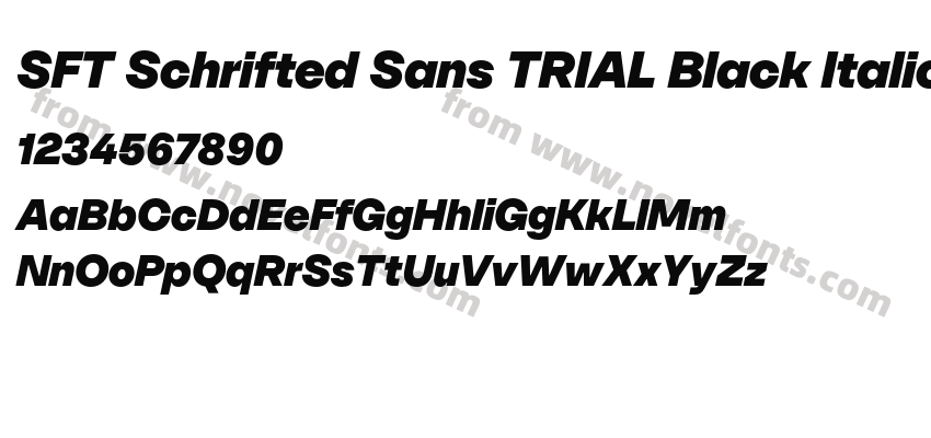 SFT Schrifted Sans TRIAL Black ItalicPreview