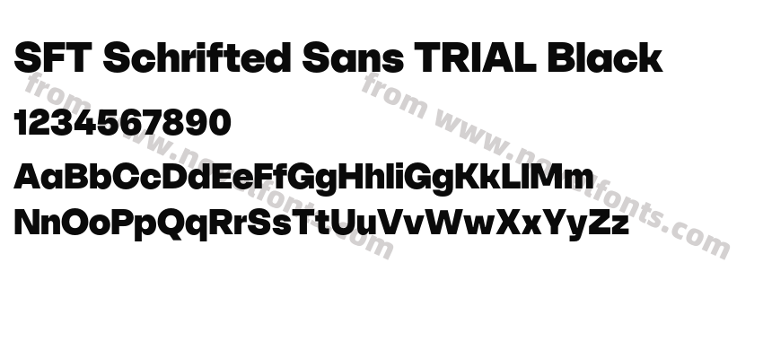 SFT Schrifted Sans TRIAL BlackPreview