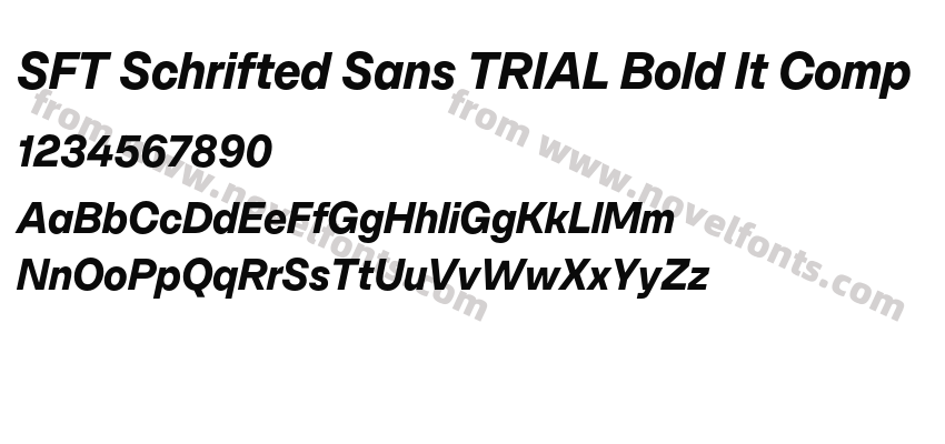 SFT Schrifted Sans TRIAL Bold It CompPreview