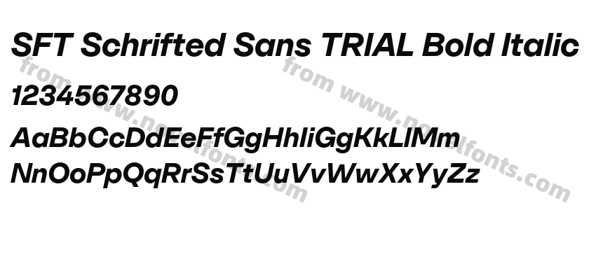 SFT Schrifted Sans TRIAL Bold ItalicPreview