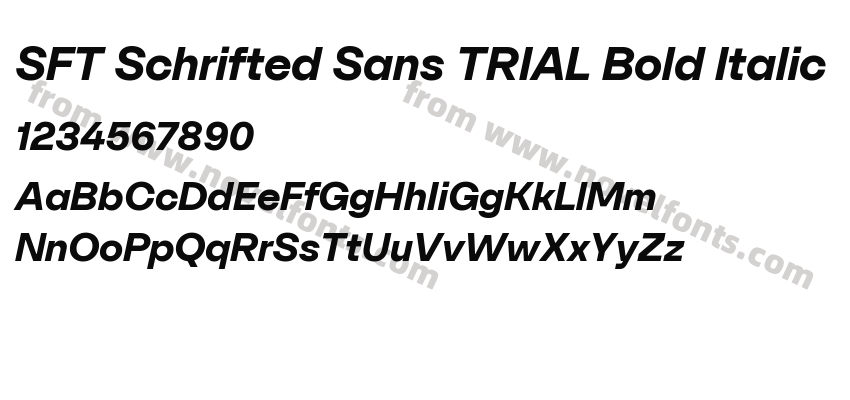 SFT Schrifted Sans TRIAL Bold ItalicPreview