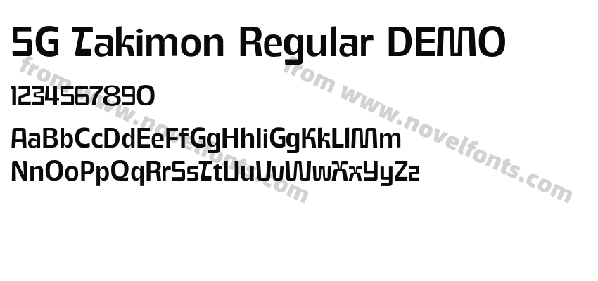 SG Takimon Regular DEMOPreview
