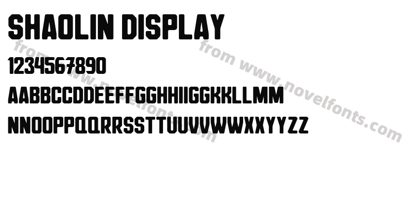 SHAOLIN DisplayPreview