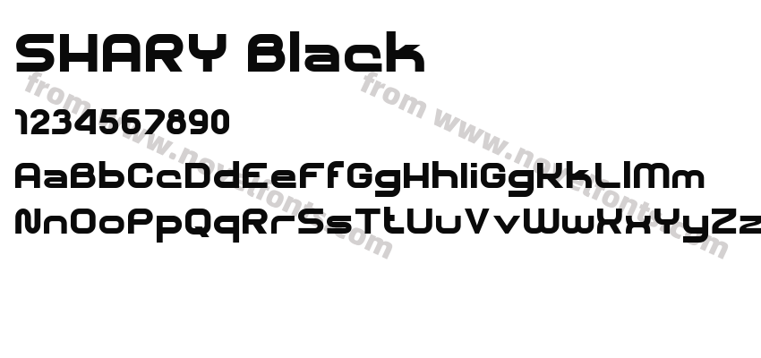 SHARY BlackPreview