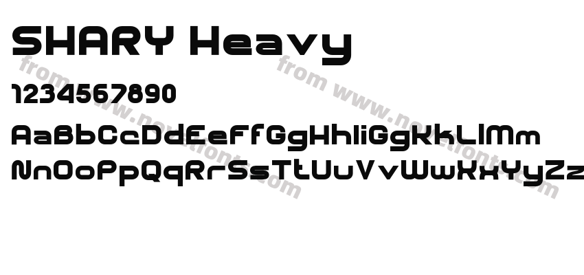 SHARY HeavyPreview