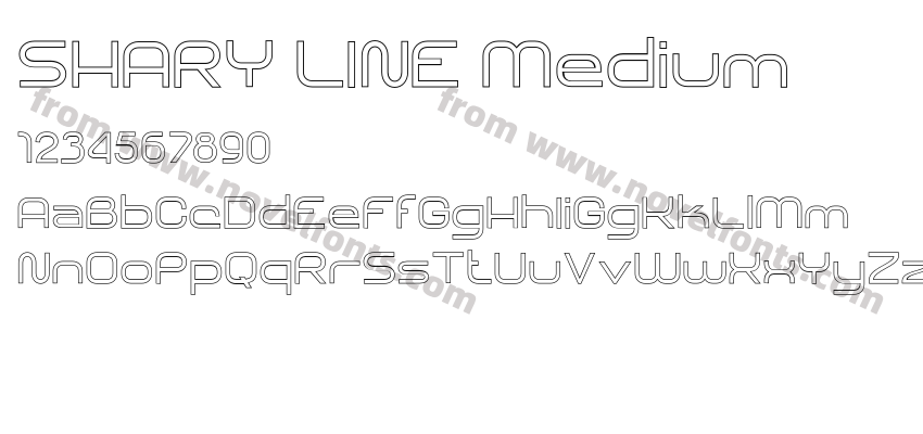 SHARY LINE MediumPreview