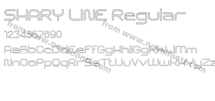 SHARY LINE RegularPreview