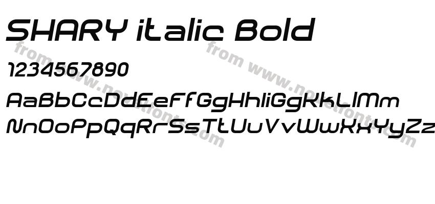 SHARY italic BoldPreview
