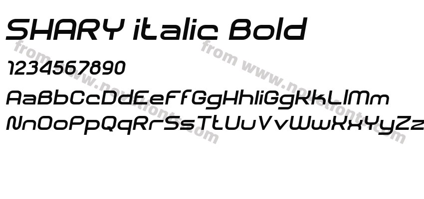SHARY italic BoldPreview