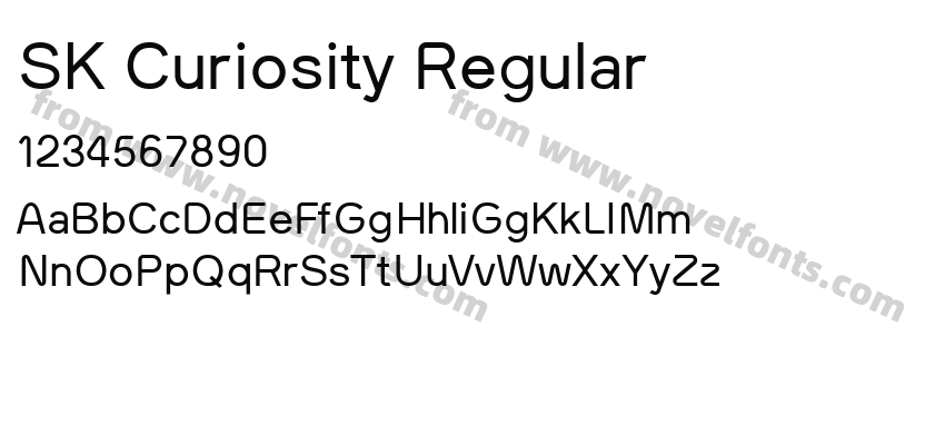 SK Curiosity RegularPreview