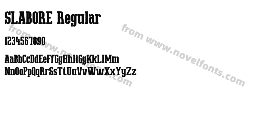 SLABORE RegularPreview