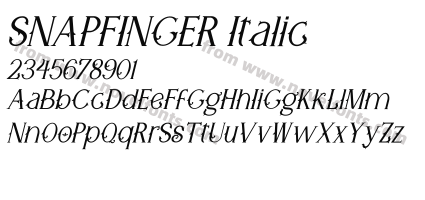 SNAPFINGER ItalicPreview