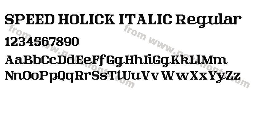 SPEED HOLICK ITALIC RegularPreview