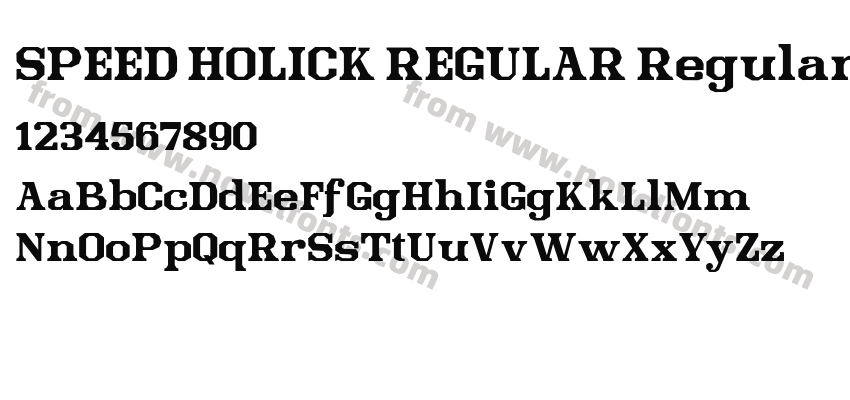 SPEED HOLICK REGULAR RegularPreview