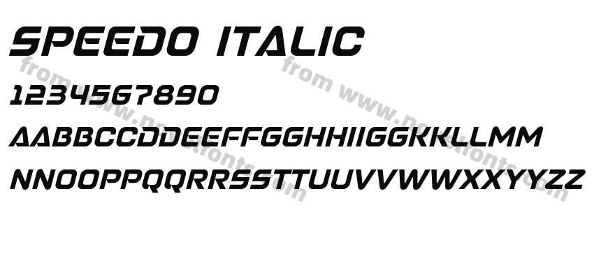 SPEEDO ItalicPreview