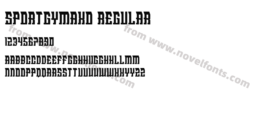 SPORTGYMAXO RegularPreview