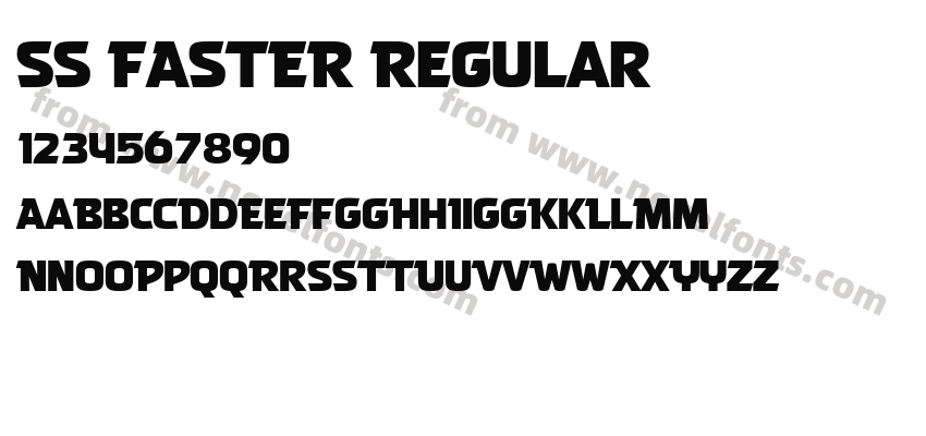 SS FASTER RegularPreview