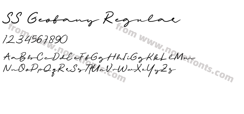 SS Geofany RegularPreview