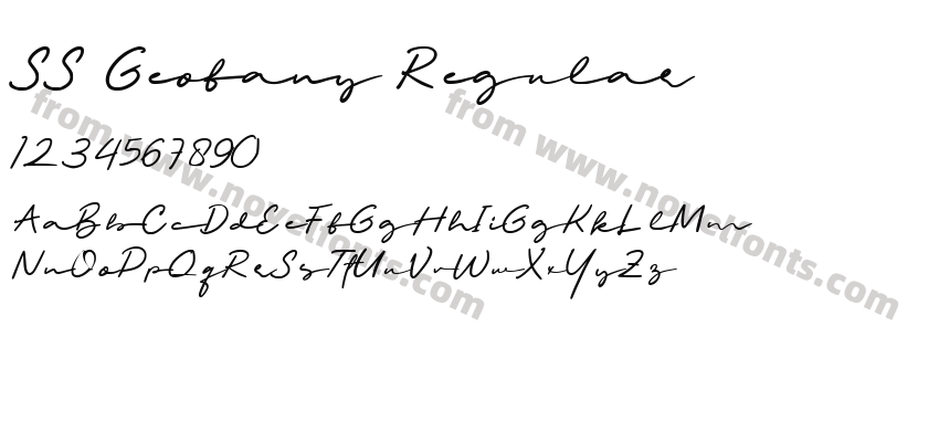SS Geofany RegularPreview