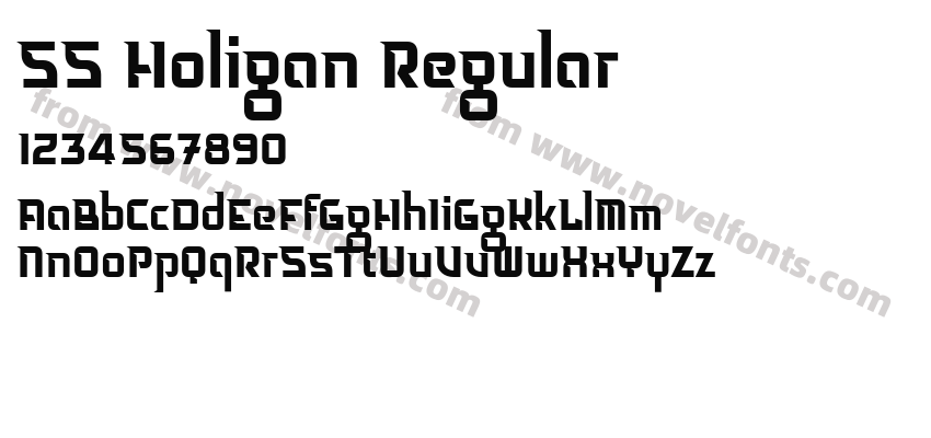 SS Holigan RegularPreview