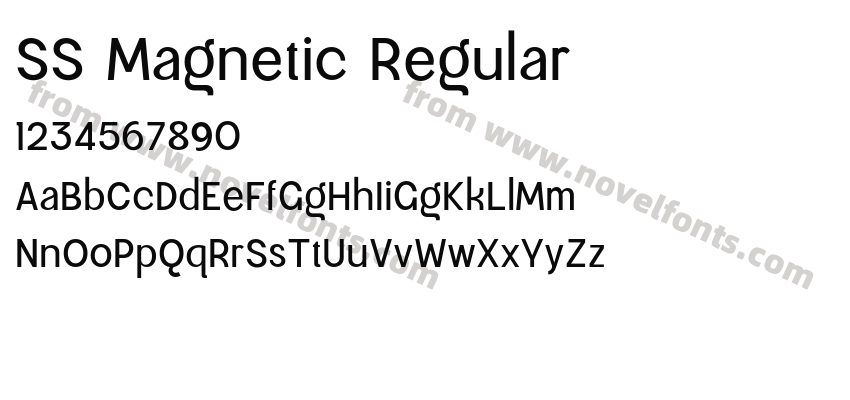SS Magnetic RegularPreview