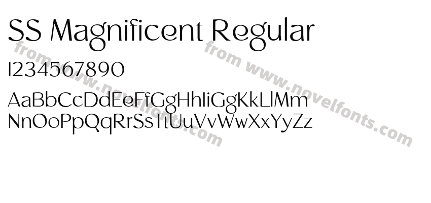 SS Magnificent RegularPreview