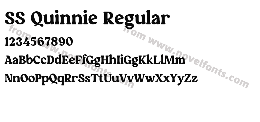 SS Quinnie RegularPreview