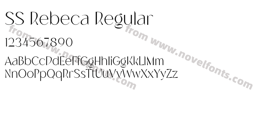 SS Rebeca RegularPreview