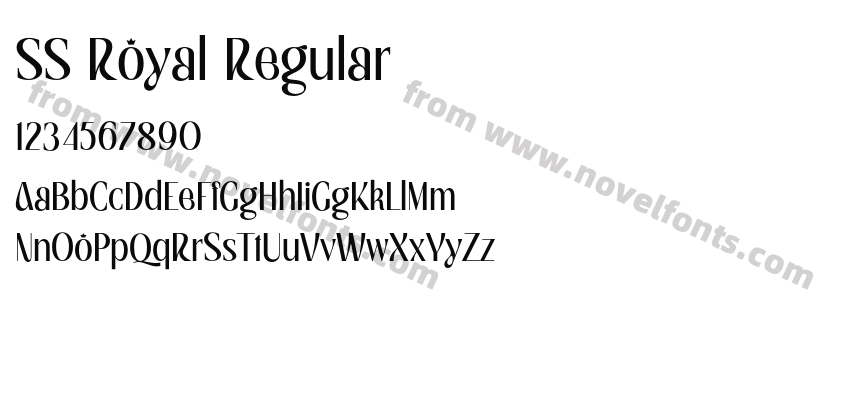 SS Royal RegularPreview