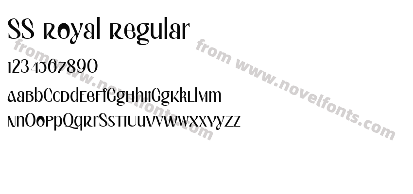 SS Royal RegularPreview