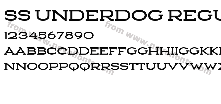 SS Underdog RegularPreview