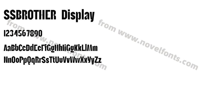 SSBROTHER DisplayPreview