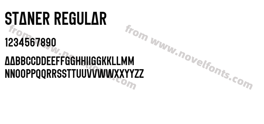 STANER RegularPreview