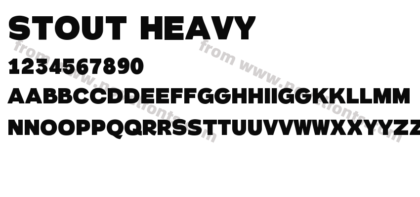 STOUT HeavyPreview