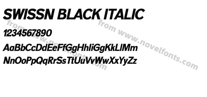 SWISSN BLACK ITALICPreview