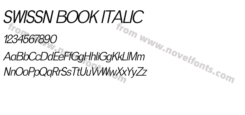 SWISSN BOOK ITALICPreview