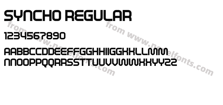 SYNCHO RegularPreview