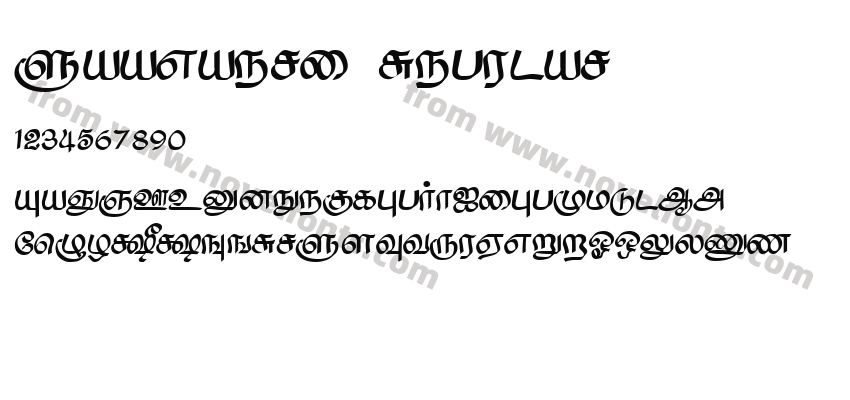 Saavaeri RegularPreview