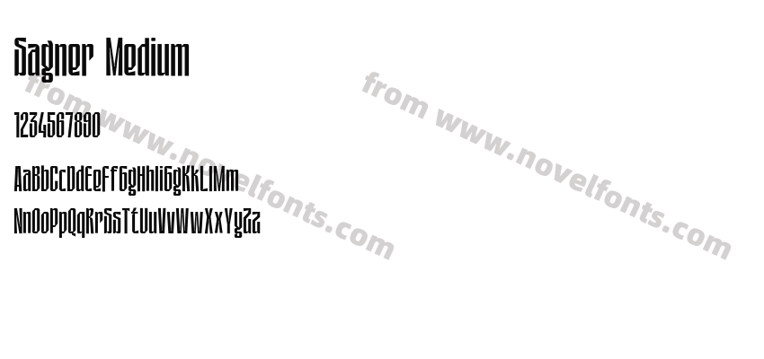 Sagner MediumPreview