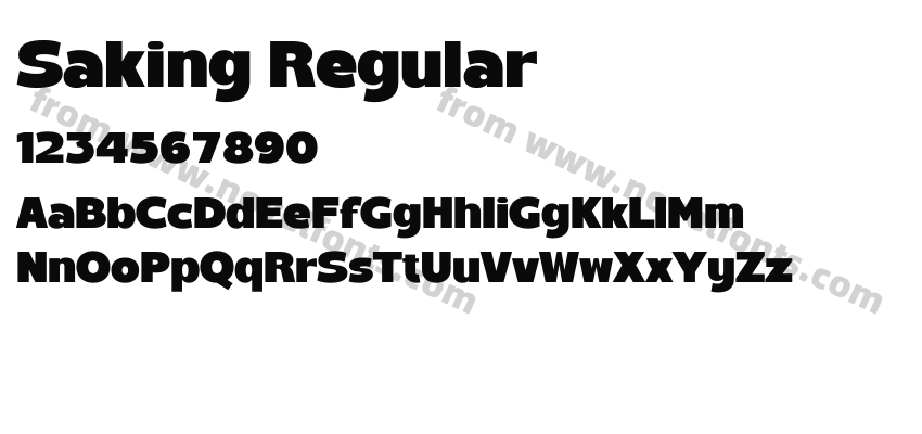 Saking RegularPreview