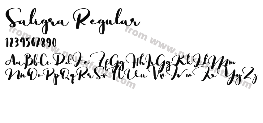 Saligra RegularPreview