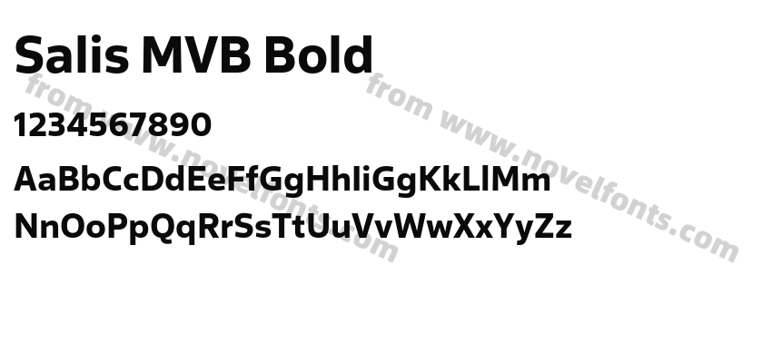Salis MVB BoldPreview