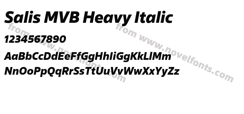 Salis MVB Heavy ItalicPreview