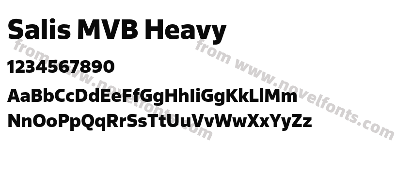 Salis MVB HeavyPreview