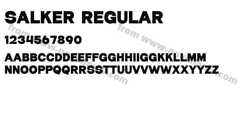 Salker RegularPreview