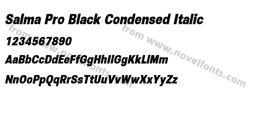 Salma Pro Black Condensed ItalicPreview
