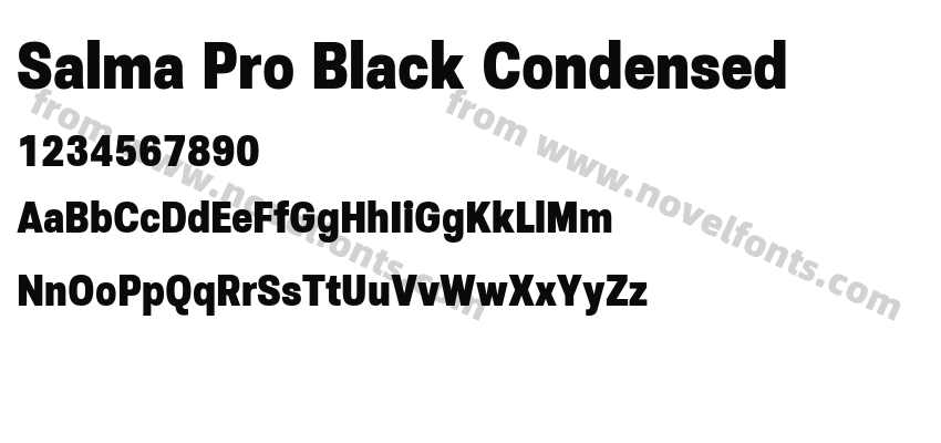 Salma Pro Black CondensedPreview